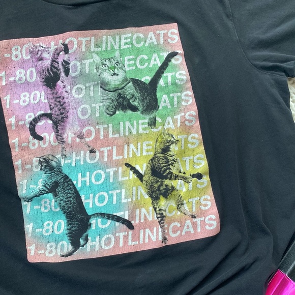 1-800-HOTLINECATS - Picture 2 of 6